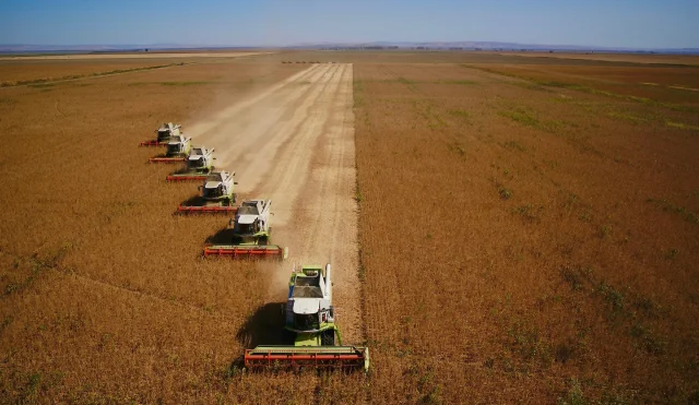 Food security may be the next casualty of war
