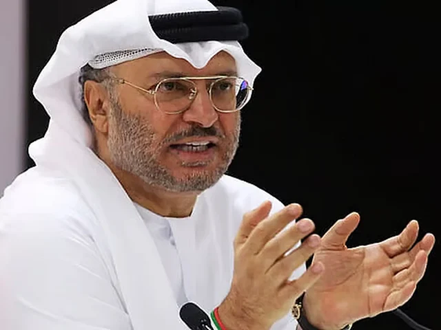 Gargash says UAE achievements outweigh hostile media campaigns