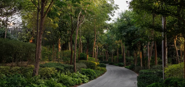 Masaar 3 adds 437 homes in its fifth phase
