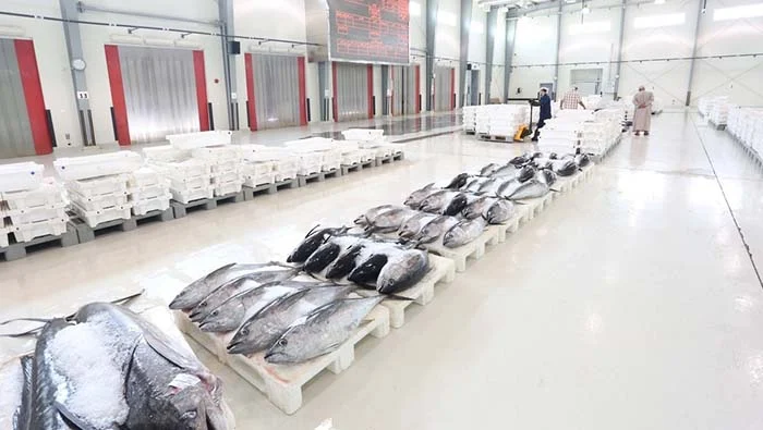 Oman fish landings value tops OMR320 million despite flat volumes