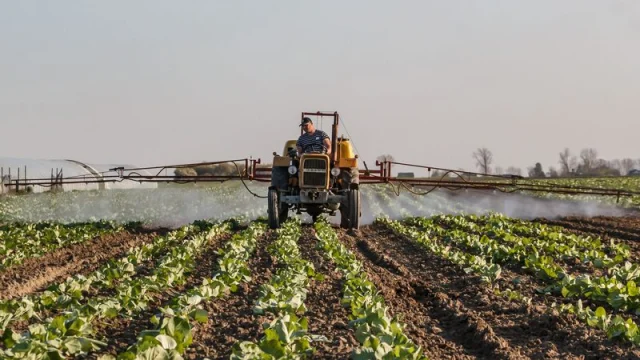 Sabic Agri-Nutrients maintains payout as first-half revenue falls
