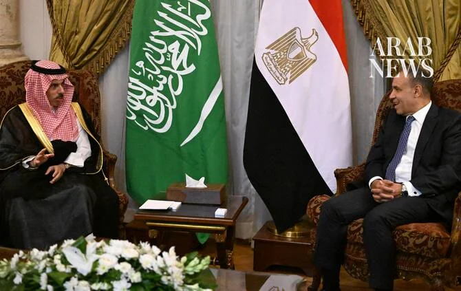 Saudi and Egyptian ministers coordinate on regional security