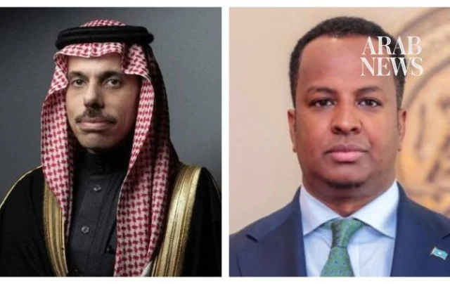 Saudi Arabia reaffirms Somalia's territorial unity