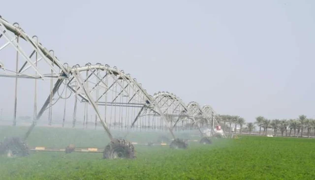 Tatweer platform offers 375 land investment opportunities