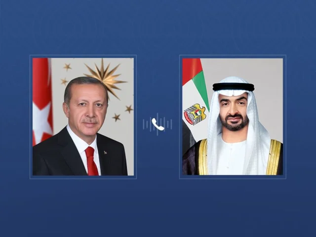 UAE and Turkish presidents discuss regional stability